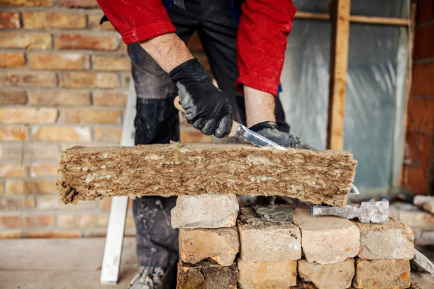 Best Wall Insulation Contractor  in Wild Peach Village, TX